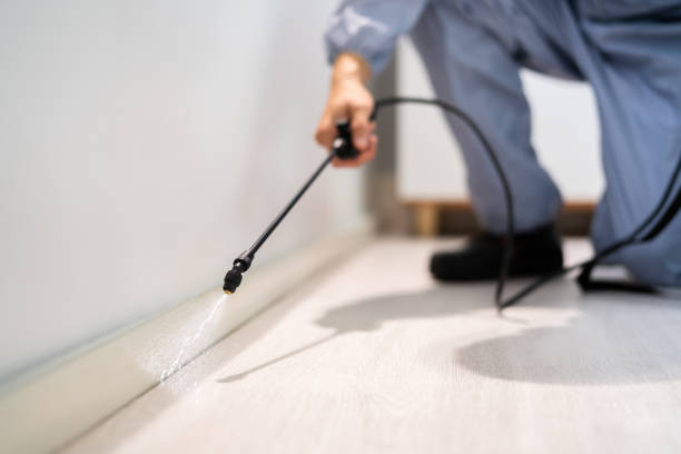 Licensed Termite Control service in The Hammocks, FL - Nex Pest Control