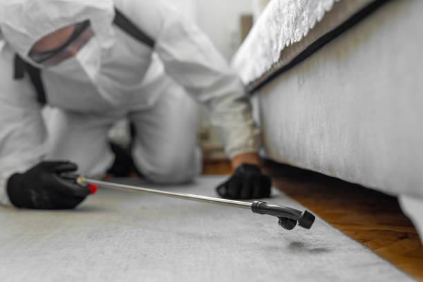 Professional Termite Control technician working in The Hammocks, FL
